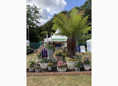 Gardenforum News - Company - 4 Flower Award for BGC at RHS Wentworth ...