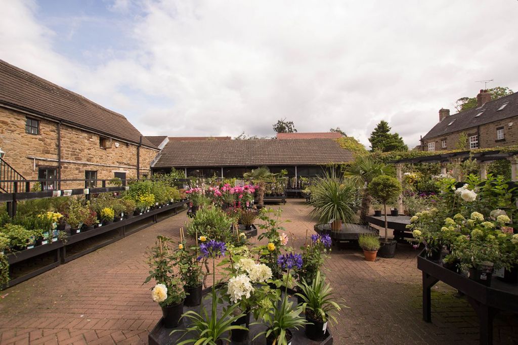 Gardenforum Headlines Fosters Of Thrybergh Is To Close Gardenforum Headlines Fosters Of, Fosters Garden Center Thrybergh Mn