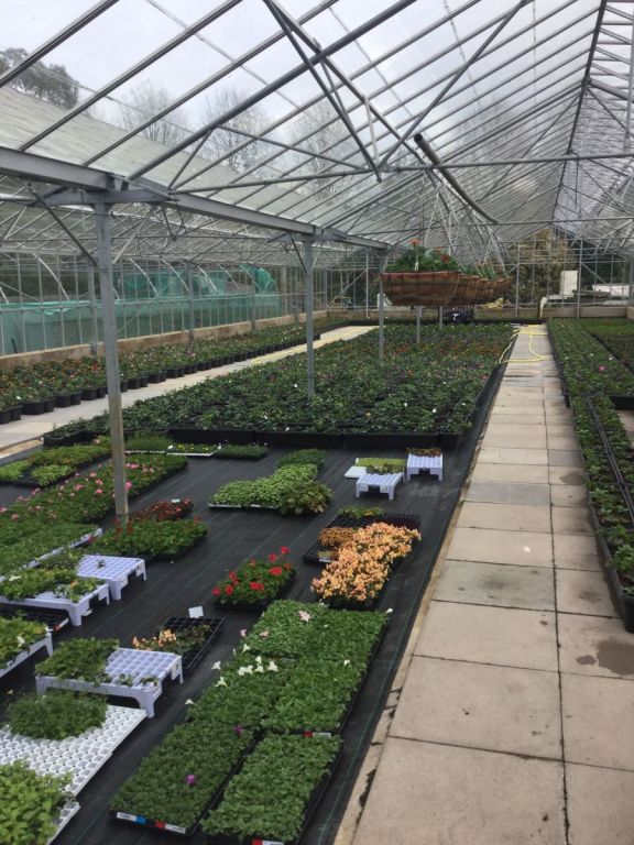 Gardenforum Business Services Businesses for Sale / Wanted Large