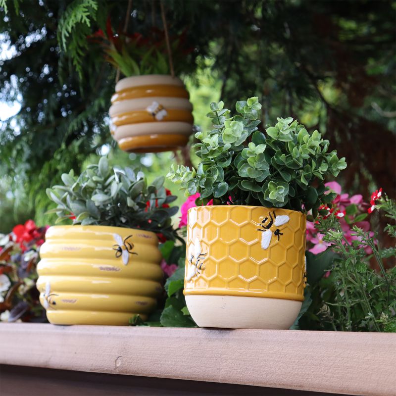 Gardenforum Products - Gifts & Christmas - Primus unwraps a garden of ...