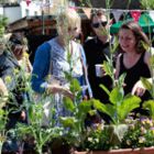 Advice on edible window boxes at Chelsea Fringe Cake Sunday (Photo from Chelsea Fringe)