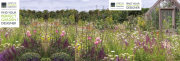 Backdrop of the SGD stand featuring sections of a Sue Townsend garden photographed by Richard Bloom