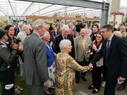 Judy Dench on an award winning Hillier stand