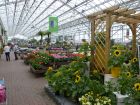 Summer displays at Bents