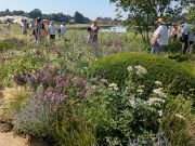 Tom Stuart-Smith's Gold winning Julia Rausing Garden