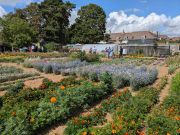 Fothergill's Trials Grounds at Kentford