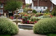 Amersham in Bloom