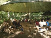 A group enjoying one of The Green Light Trust’s woodland activities. 