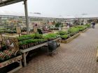 Blue Diamond's Bicester plant sales area