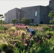 Image: Hepworth Wakefield  by Tom Stuart-Smith. Photo by Katy Merrington.